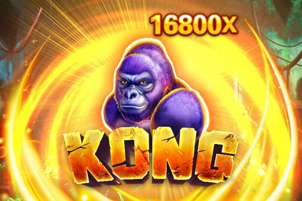 11366 kong