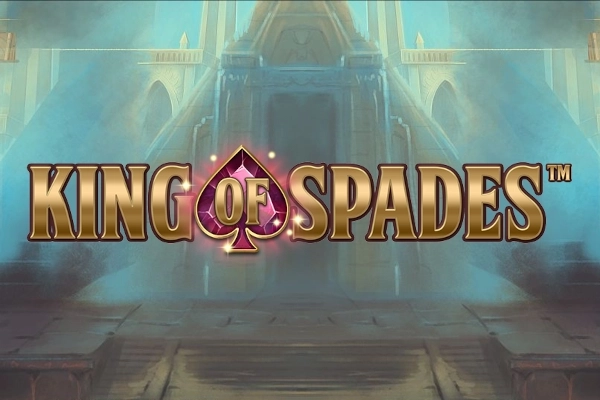 23171 king of spades